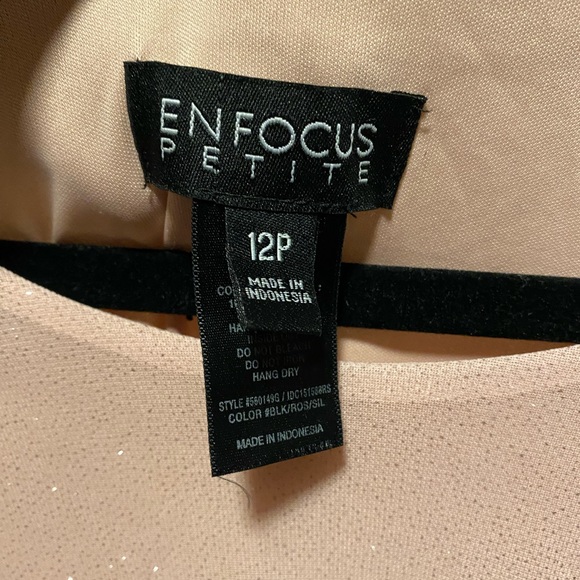 Enfocus Pink/ Black dress with sheer overlay - Picture 6 of 6